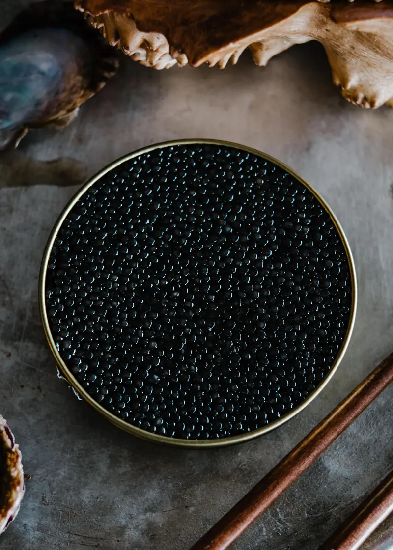 Glossy black caviar in a tin, dark still life